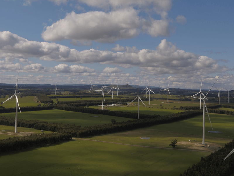 wind turbines on a field