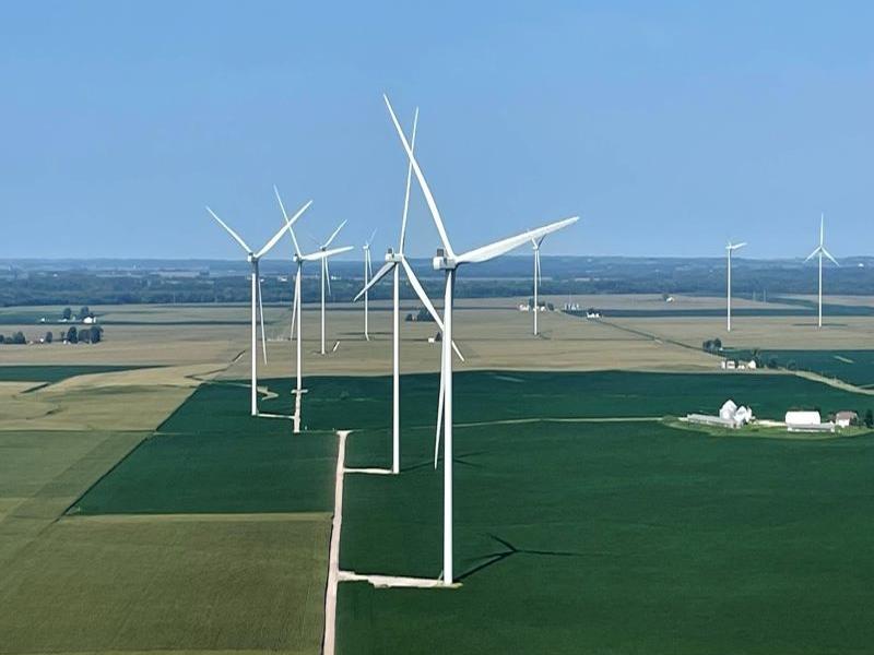 wind turbines on a field