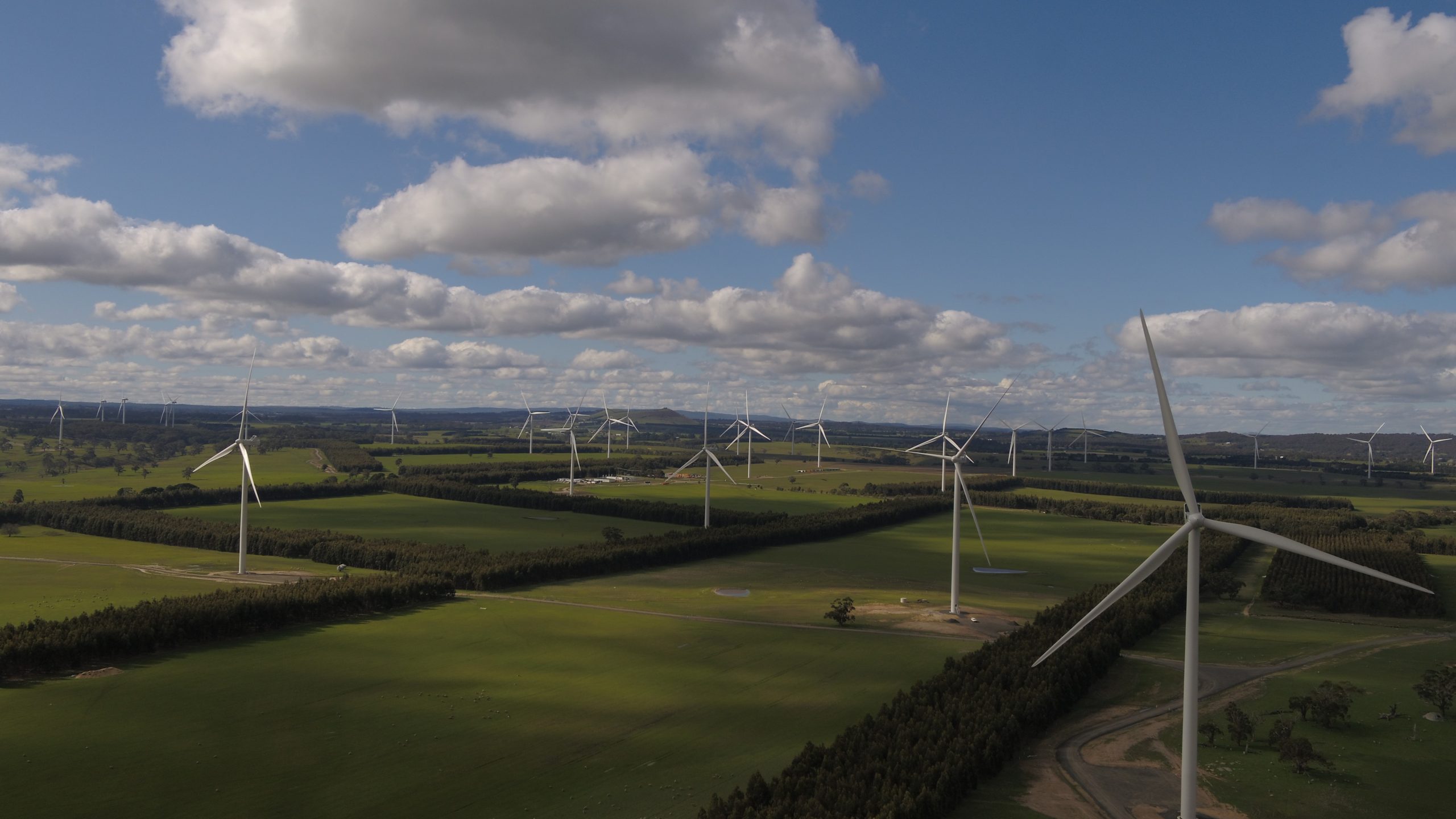 wind turbines on a field